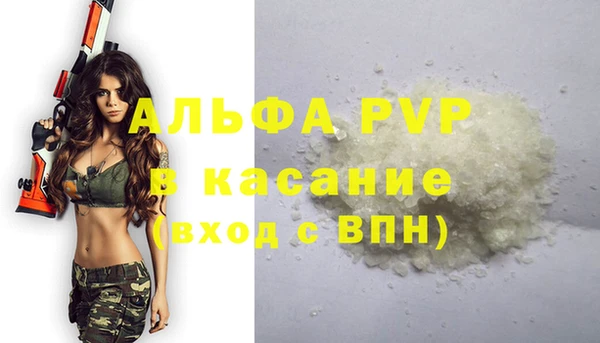 крисы Кулебаки