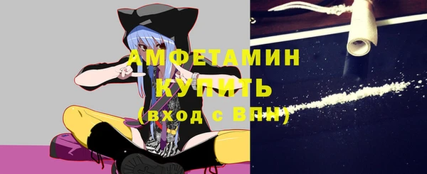 крисы Кулебаки