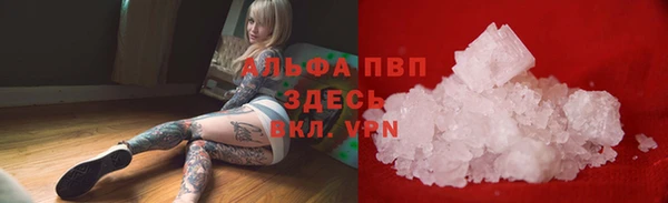 крисы Кулебаки