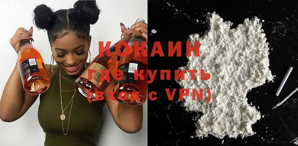 крисы Кулебаки
