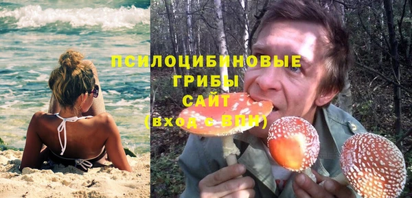амф Кукмор